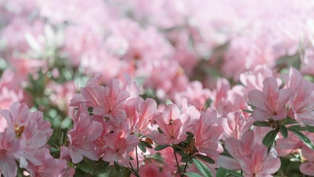 微信朋友圈文案素材说说(朋友圈被秒赞的配文搞笑)