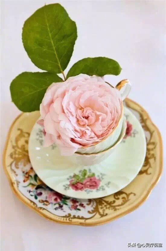 自己生日快乐怎么发朋友圈(暗示自己生日快乐配图)