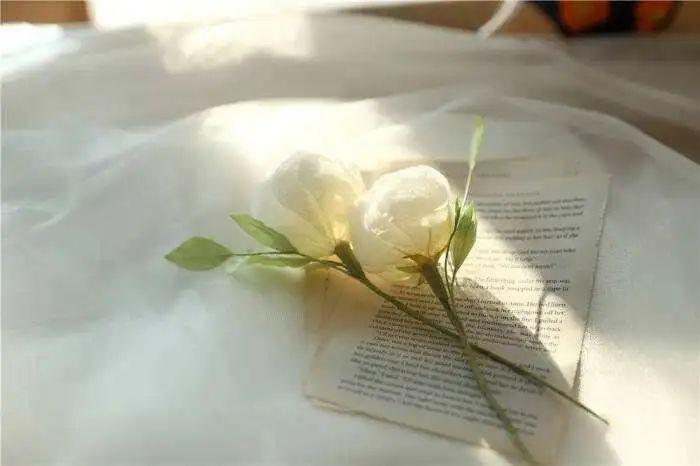 宝宝2岁生日发朋友圈的句子(2岁生日简短洋气句子)