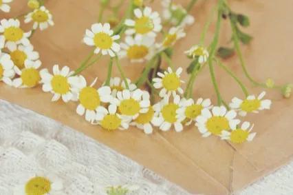 清晨文案阳光唯美句子（适合早上发的暖心句子）