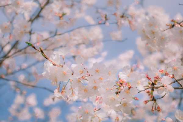 水瓶是唯一读懂天蝎的星座(最了解天蝎座的3大星座)