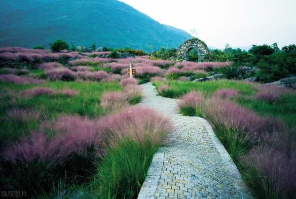 快乐的文案短句干净治愈（开心快乐的唯美句子）