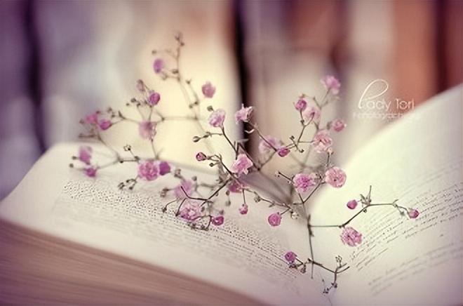 女神发的特别的说说文案（有气质的女人发朋友圈）