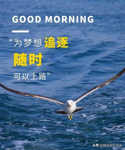 励志语录热门素材文案发圈（干净优质励志文案短句）