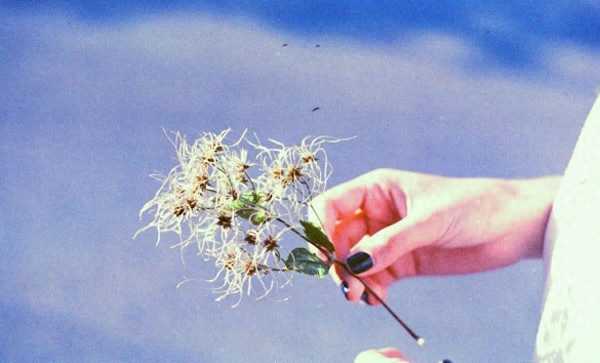 好的文案句子励志短句入心（20句励志向上的精选文案）