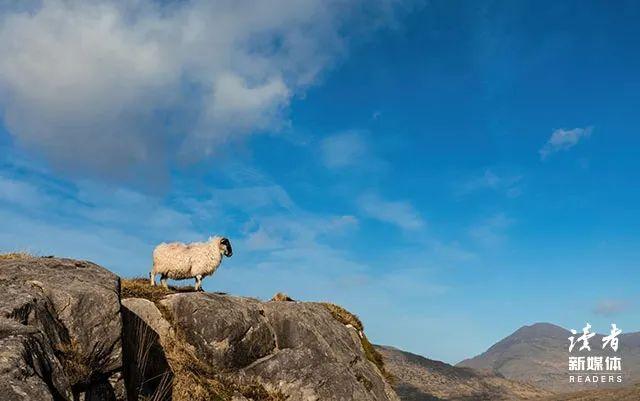 调皮可爱搞笑的幽默句子（可爱俏皮的句子说说心情）