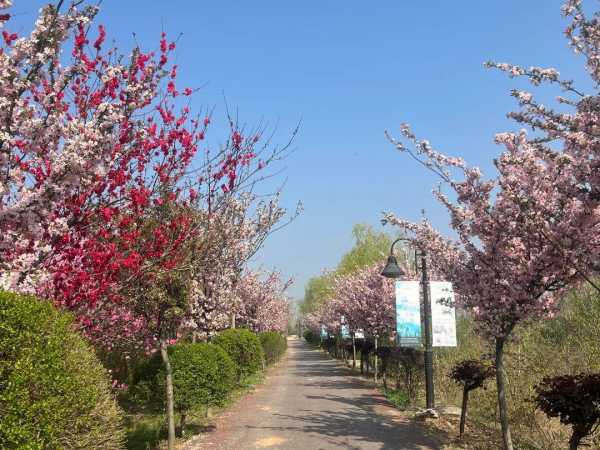 踏青简短文案朋友圈短句(周末踏青的唯美句子简短)
