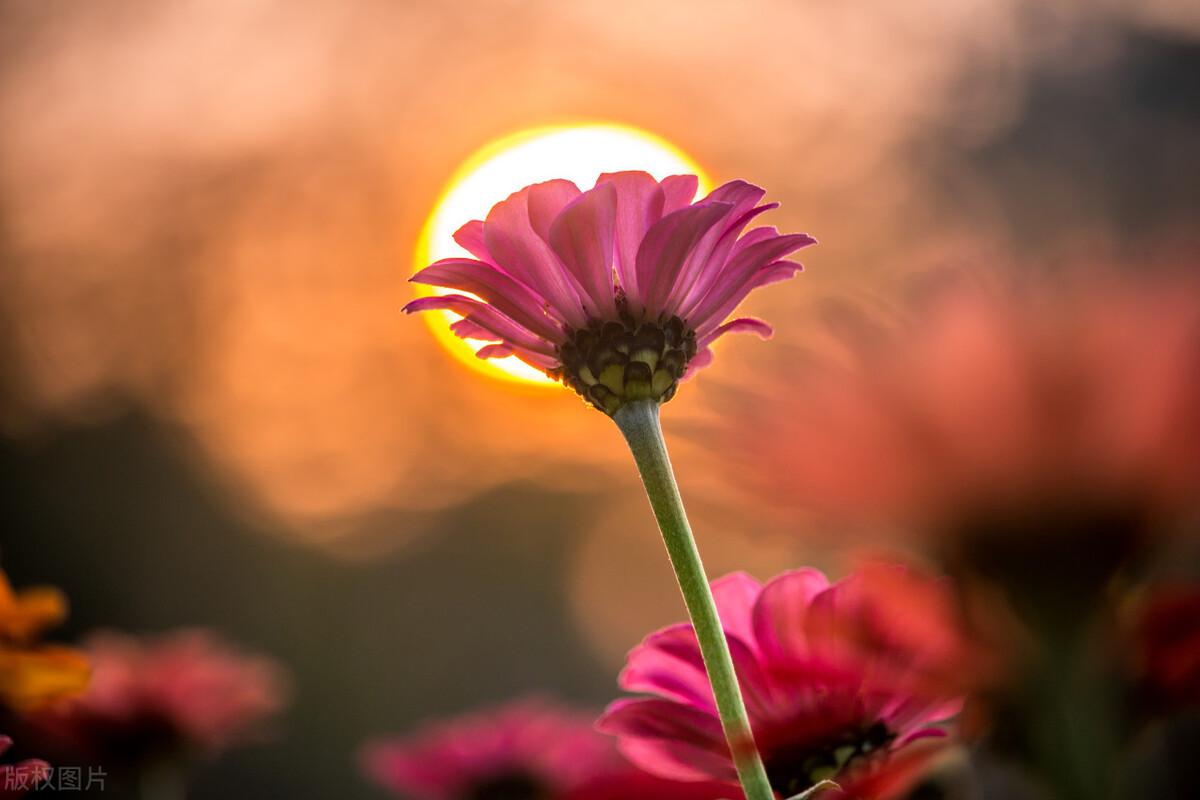 正能量励志文案朋友圈（25句正能量满满的励志文案）