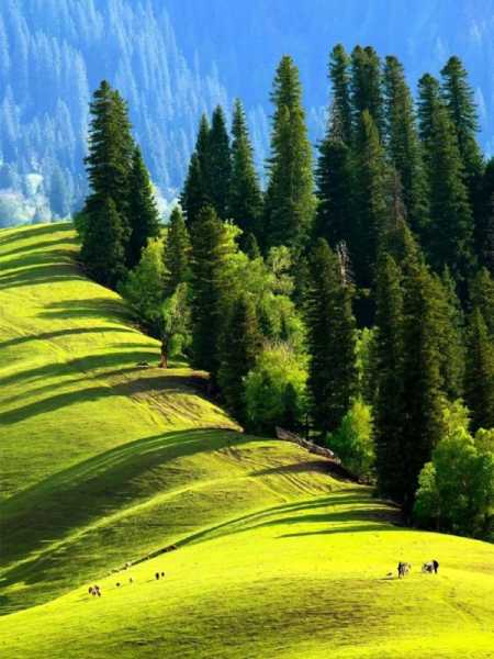 草原文案短句朋友圈治愈（去草原放飞心情的句子）