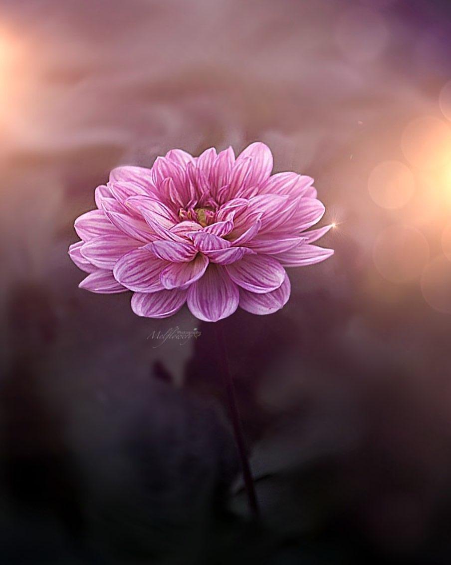 烦躁郁闷的心情朋友圈语句(心情不好很郁闷的说说)