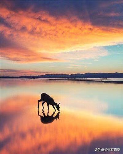 适合深夜一个人的句子伤感（夜深人静孤独伤感句子）