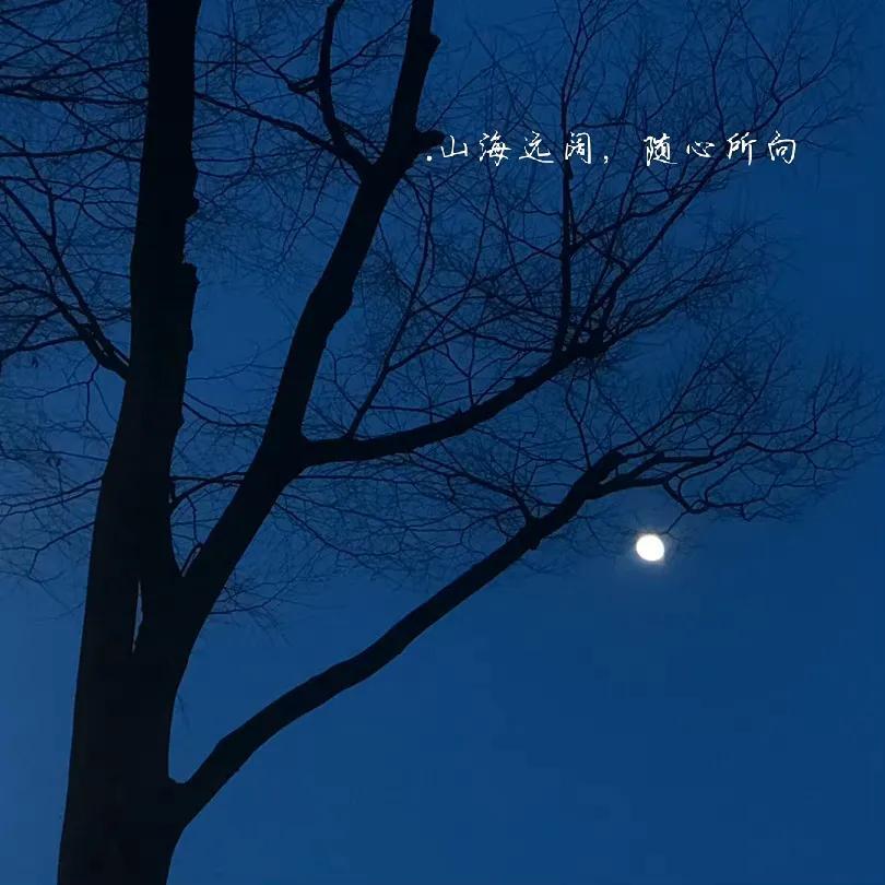 爱情喜欢文案伤感高级感（热爱可抵岁月漫长说说）