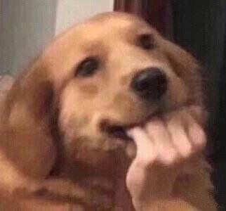 精选笑话段子简短正能量（开心一笑经典搞笑语录）