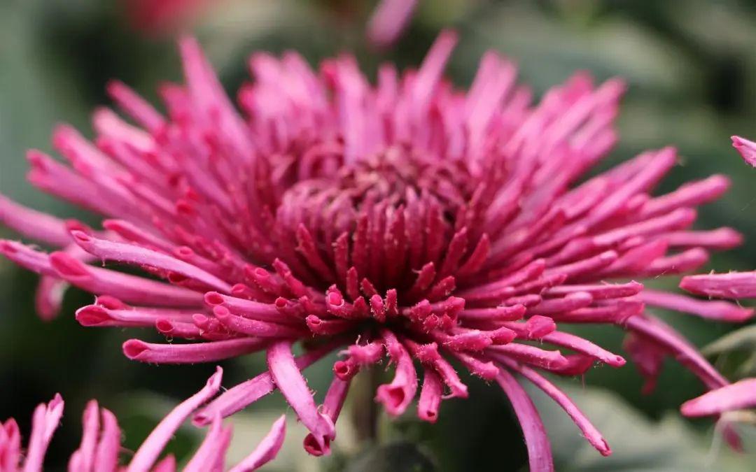 满怀期待却失望的文案短句（从满心期待到失望的句子）