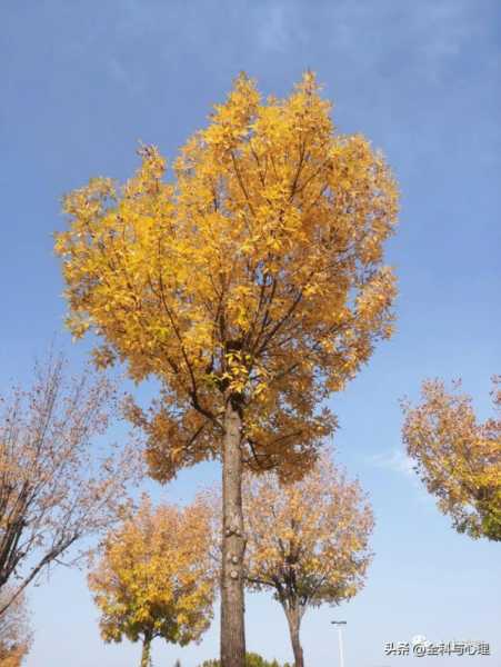 正能量朋友圈文案高质量（清晨励志正能量的句子）