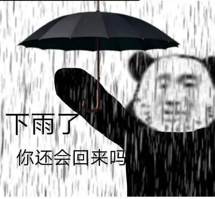 简单点薛之谦歌词打动人心(薛之谦歌词里的情话)