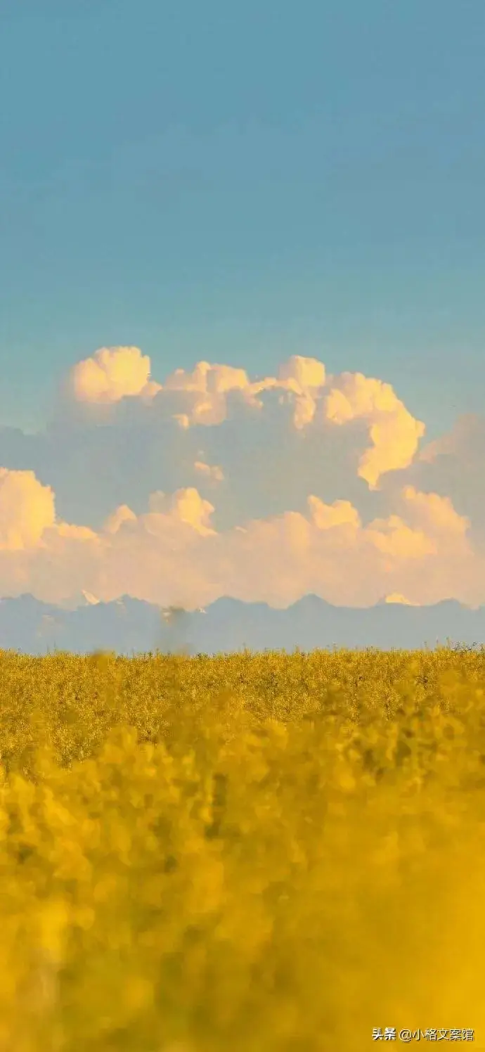 今日文案朋友圈干净治愈(沐浴阳光的心情短句)