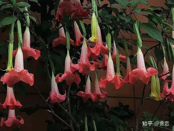 假期回家文案朋友圈短句（回家的心情简短的句子）