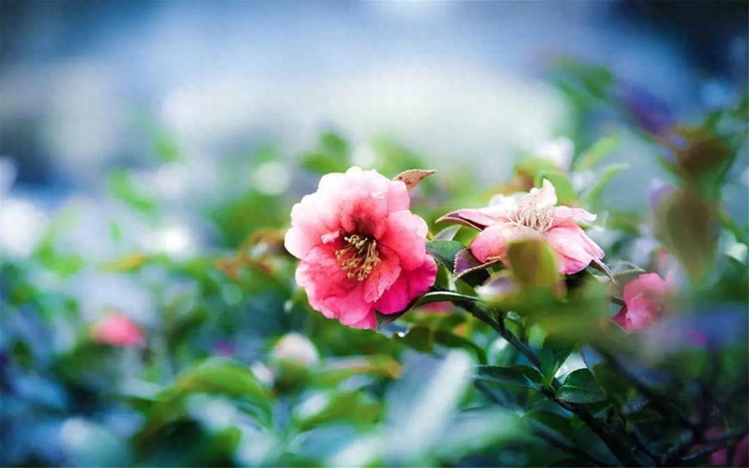 听歌的文案心情说说朋友圈（听伤感歌曲的心情句子）