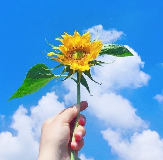 甜品宣传文案烘焙语录简短（美食甜品的文艺清新句子）