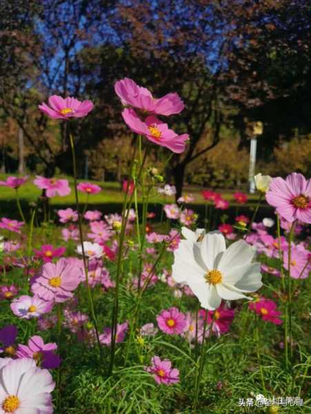 发朋友圈的文案心情短句（朋友圈文案励志正能量）