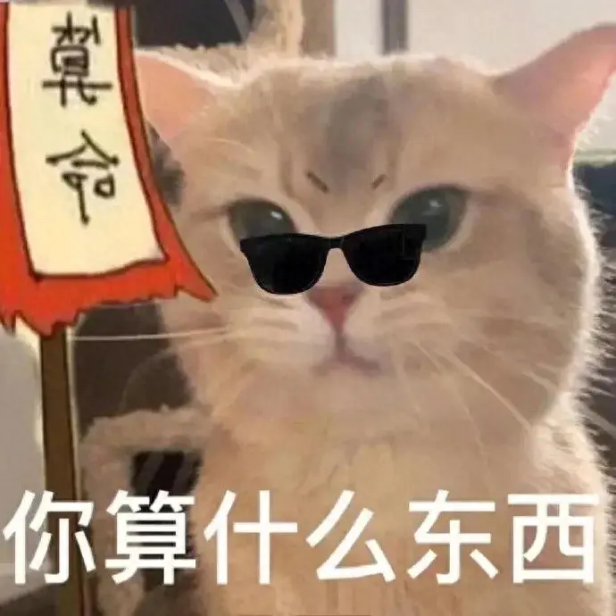 拽姐文案高级感沙雕句子（很拽的抖音文案短句）