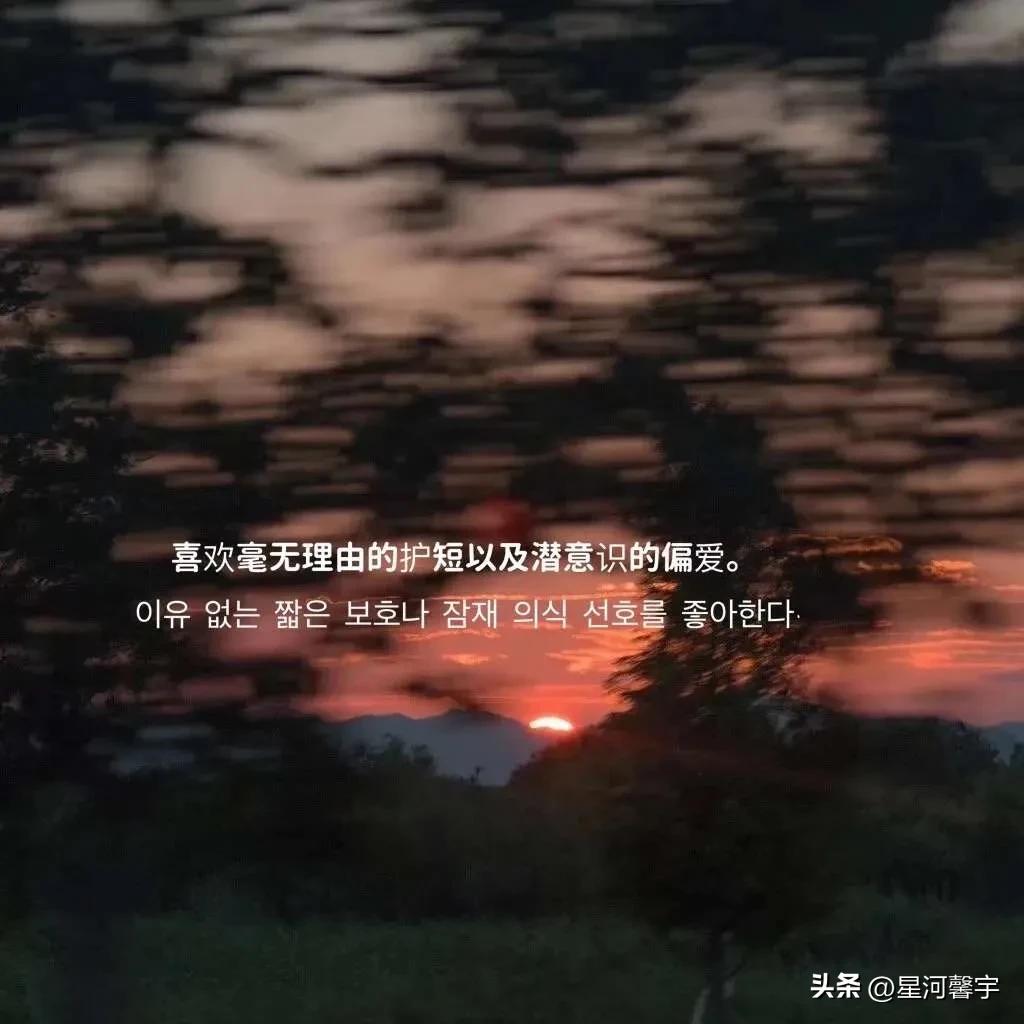 关于偏爱的文案短句伤感(偏爱的高级浪漫句子)