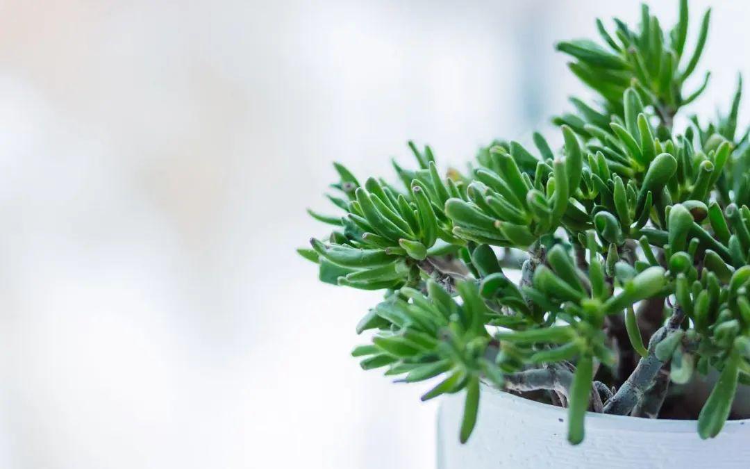 自己拍的风景配文字朋友圈(晒自己游玩照片的句子)