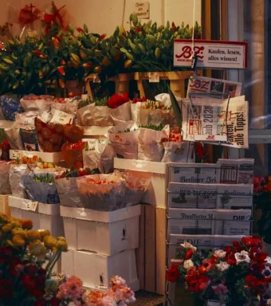 成为更好的自己文案朋友圈（正能量积极向上的文案）