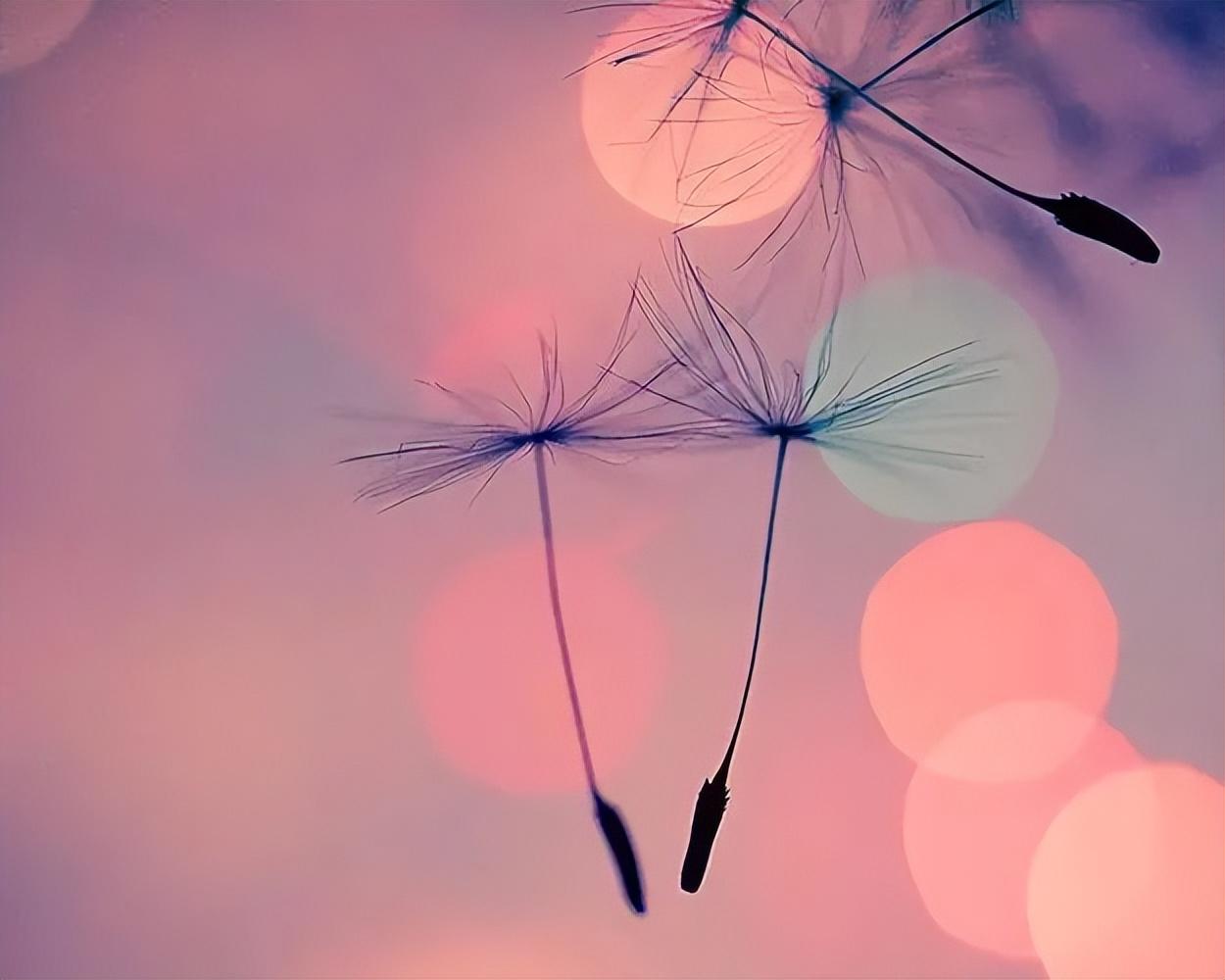 有趣的销售文案句子短句(卖货销售爆单经典句子)