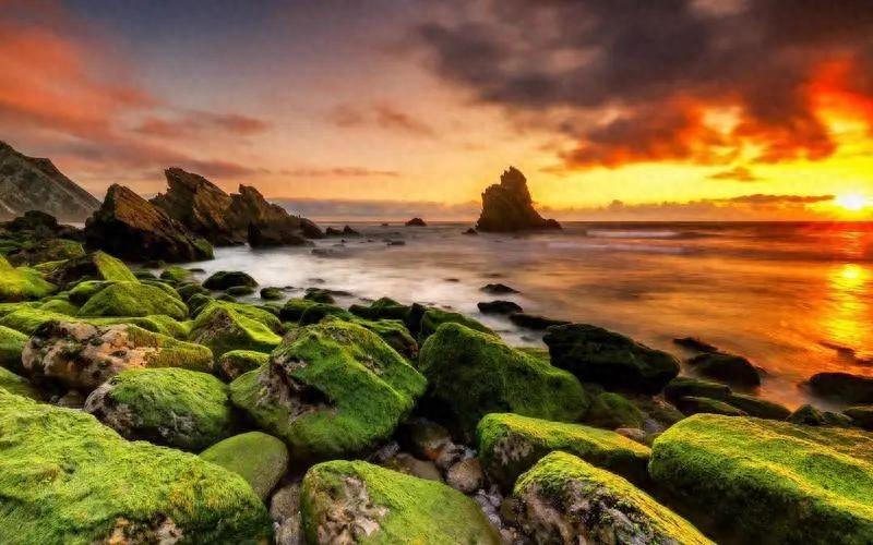 适合销售发朋友圈的文案（幽默风趣的销售文案）