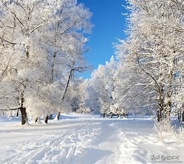 视频文案素材治愈短句（100%能上热门的文案素材）