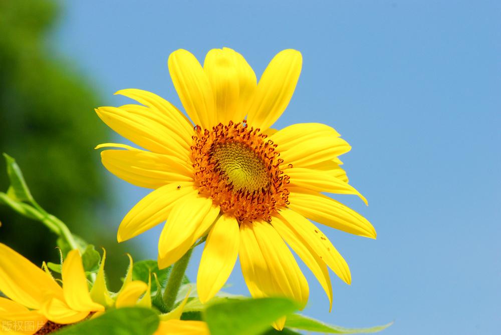 打气加油的文案励志句子（积极正能量的文案）