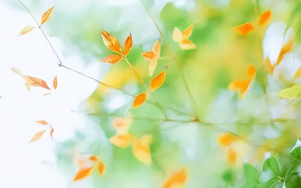 甜品文案治愈心情一句话（蛋糕店微信朋友圈广告）