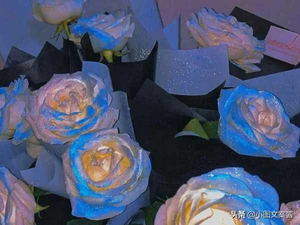 花语文案短句干净治愈（文案绝美的花语短句）