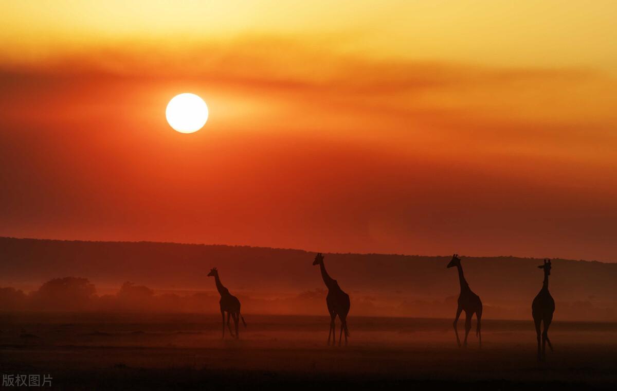 推广引流吸引人的标题（抖音吸引人的文案句子）