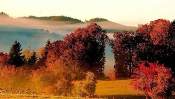 交友文案个性签名短句干净（女生交友宣言精美语句）