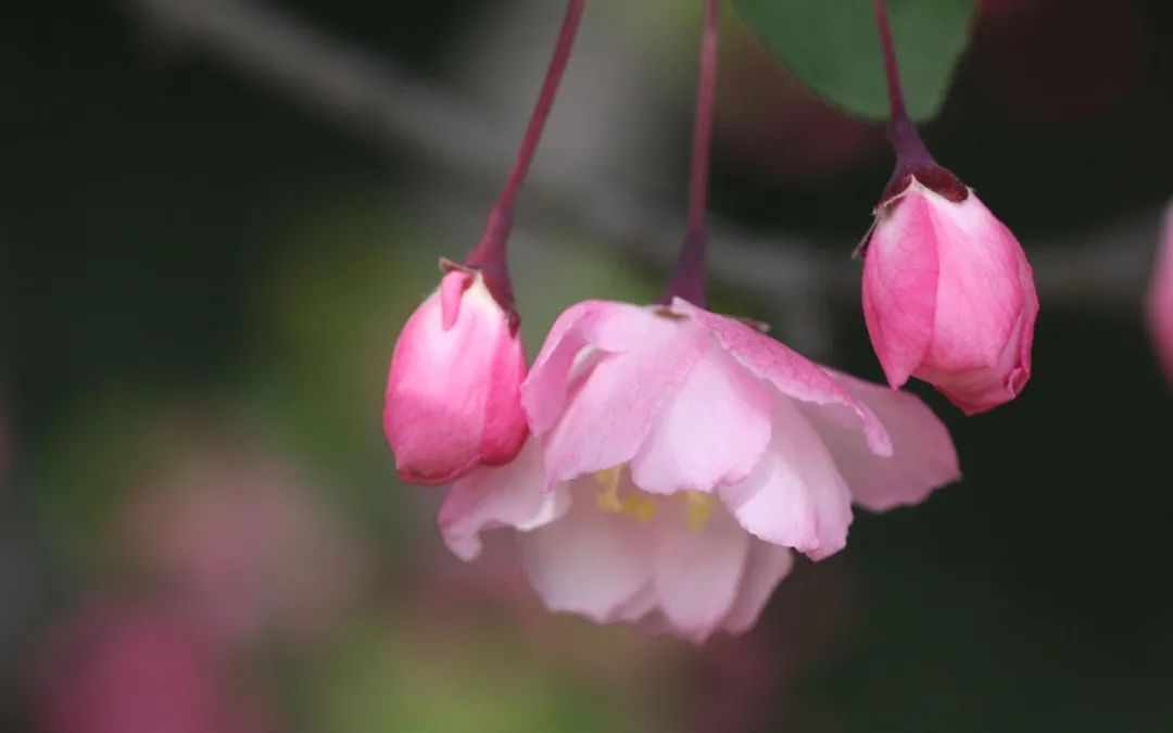 体育生励志短句高级个签（少年体育精神经典语录）