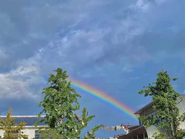 学习励志文案短句干净治愈(36条学习励志文案)