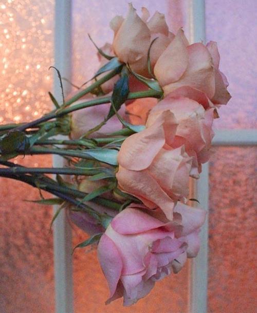 小公主俏皮可爱的文案(可爱到爆的俏皮句子)