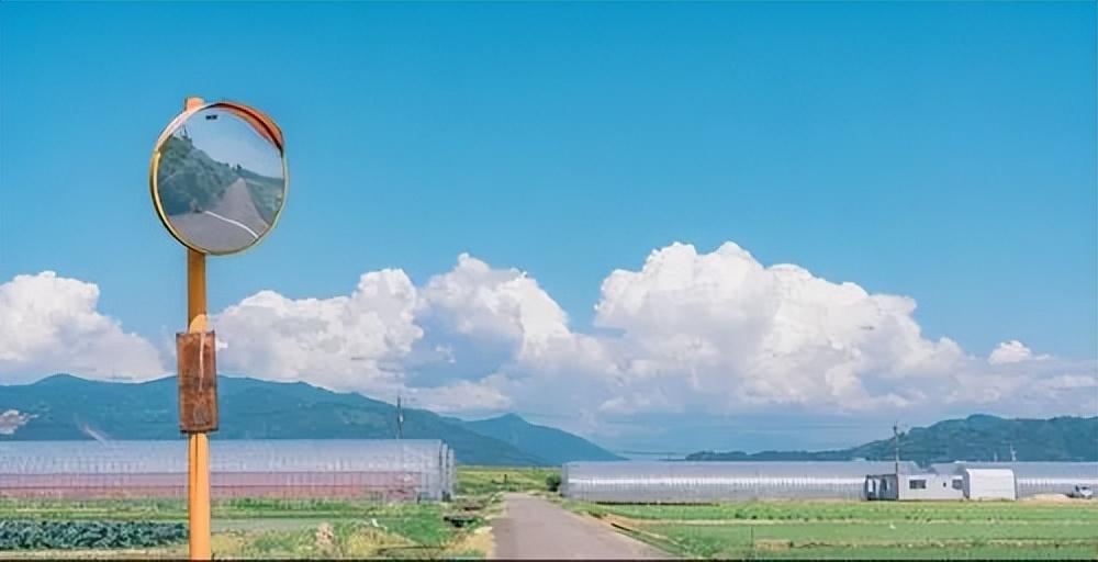 有爱的文案句子唯美简短(充满爱意的小众文案)