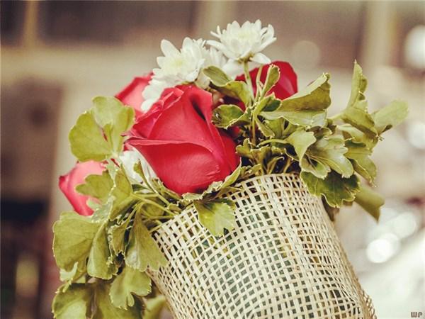 最扎心的伤感情话带眼泪（20句唯美伤感的爱情句子）