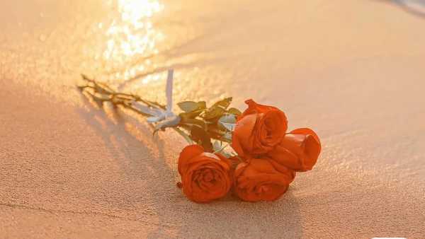 朋友圈日落余晖文案温柔（写落日余晖的优美句子）