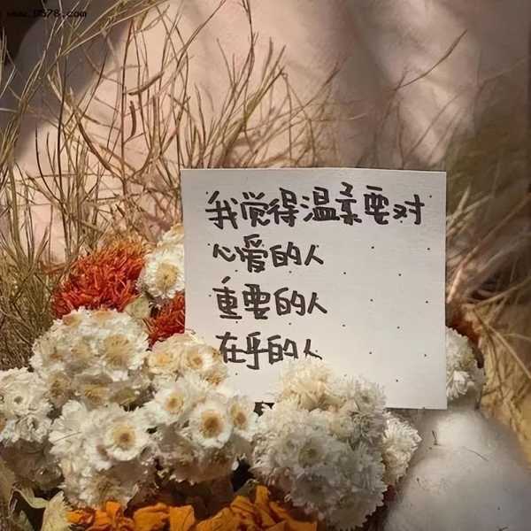 情感文案短句伤感唯美浪漫（适合发朋友圈的情感文字）