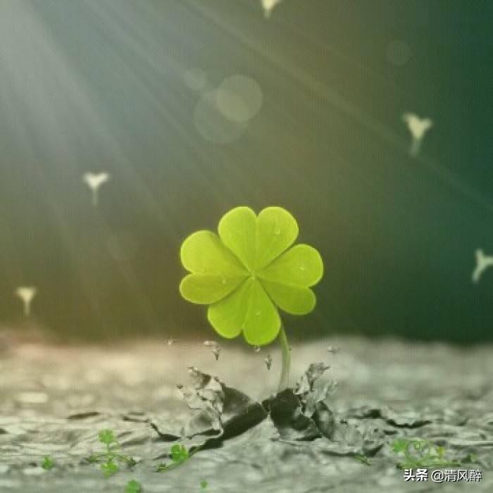 快手介绍自己的文案吸引人(快手自我介绍简短幽默)