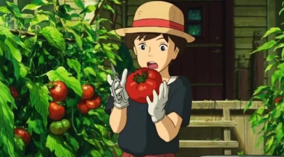 发日常的朋友圈文案搞怪（记录日常生活文案简短）