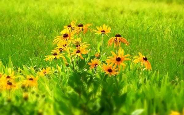 销售文案怎么写吸引人搞笑（吸引人眼球的销售文案）