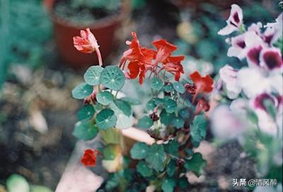 兄弟文案短句霸气兄弟情（好兄弟不离不弃的句子）