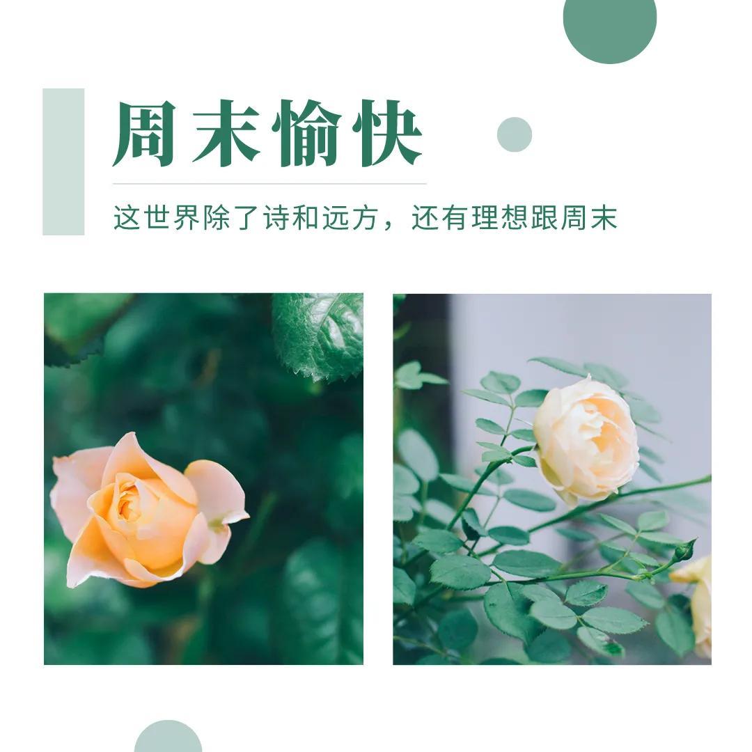 周末朋友圈文案简短幽默（周末文案温暖治愈短句）