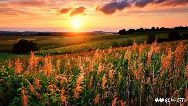 落日文案余晖的唯美诗句（适合日落发朋友圈的句子）
